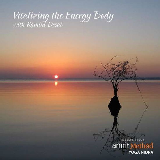 Cover for Kamini Desai · Vitalizing the Energy Body (CD) (2014)