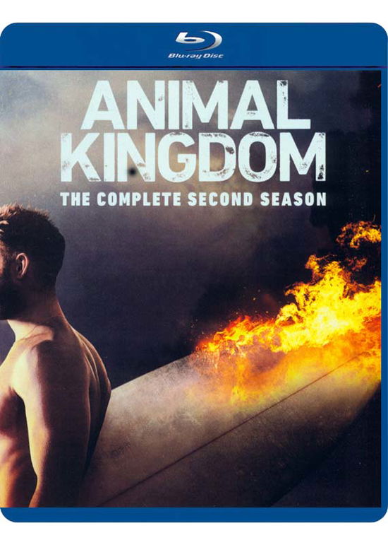 Cover for Animal Kingdom: Complete Second Season (Blu-ray) (2018)