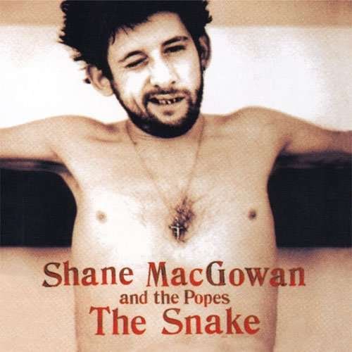 Cover for Shane Macgowan · Snake (CD) (2009)
