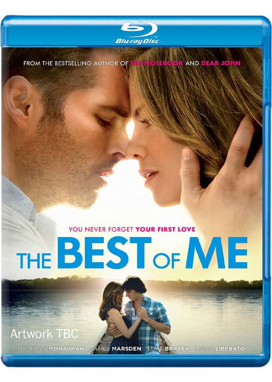 Best of Me, the (Blu Ray) - Michael Hoffman - Filmy - EONE - 5055744700636 - 