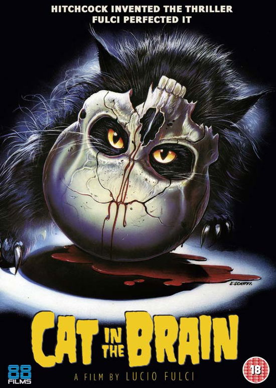 Cover for A Cat In The Brain (aka Un Gatto Nel Cervello) (DVD) (2018)