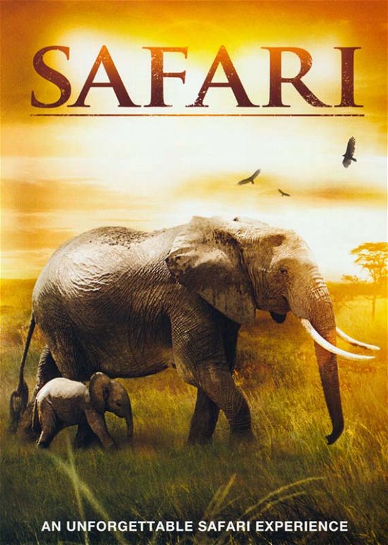 Safari-safari - Safari - Film - Kaleidoscope - 5060192811636 - 12. december 2011