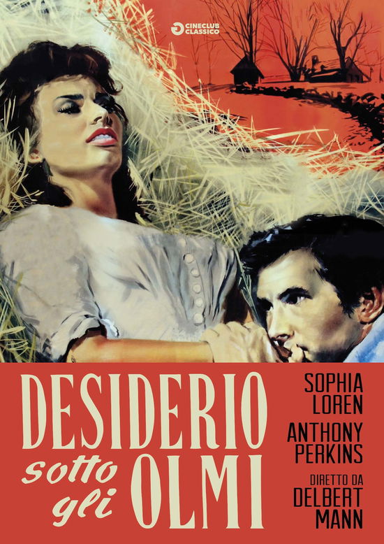 Cover for Desiderio Sotto Gli Olmi (DVD) (2018)