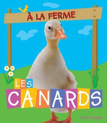 Cover for Sally Morgan · Les canards (Book) (2009)