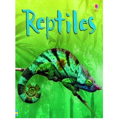 Reptiles - Beginners - Catriona Clarke - Książki - Usborne Publishing Ltd - 9780746099636 - 27 lutego 2009