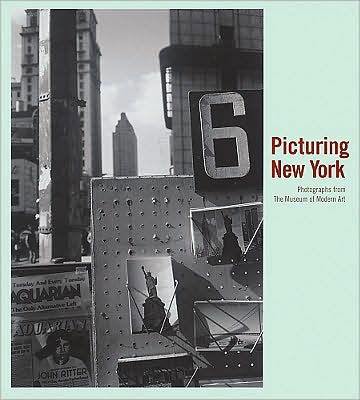 Cover for Sarah Hermanson Meister · Picturing New York: Photographs from The Museum of Modern Art (Hardcover Book) (2009)