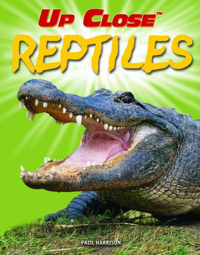 Reptiles (Up Close) - Paul Harrison - Książki - Powerkids Pr - 9781404237636 - 30 grudnia 2006