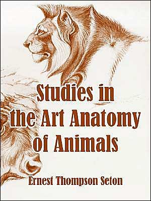 Cover for Ernest Thompson Seton · Studies in the Art Anatomy of Animals (Paperback Book) (2004)