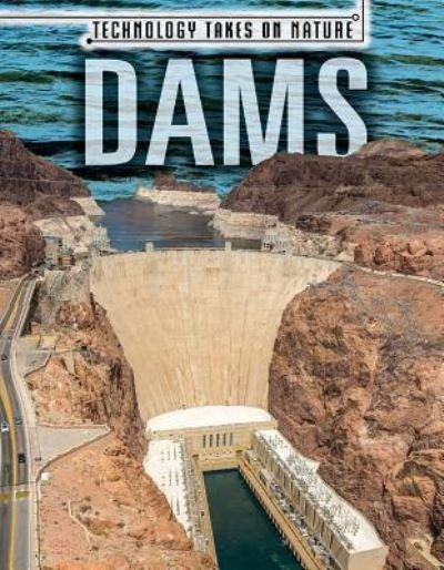 Cover for Ryan Nagelhout · Dams (Pocketbok) (2016)