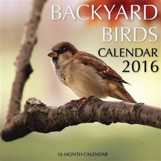 Cover for Jack Smith · Backyard Birds Calendar 2016: 16 Month Calendar (Pocketbok) (2015)