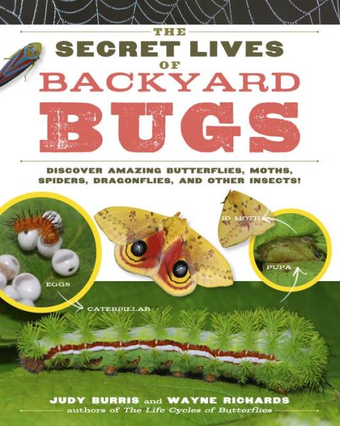 Cover for Judy Burris · The Secret Lives of Backyard Bugs: Discover Amazing Butterflies, Moths, Spiders, Dragonflies, and Other Insects! (Paperback Book) (2011)