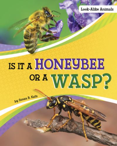 Cover for Susan B. Katz · Is It a Honeybee or a Wasp? (Book) (2021)