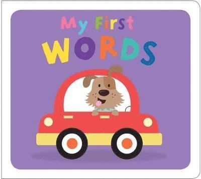 Cover for Roger Priddy · My First Words Matching Set: My First Box Sets (Book) (2018)