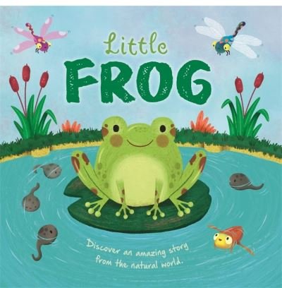 Cover for Autumn Publishing · Little Frog - An illustrated story about the life-cycle of a frog (Hardcover bog) (2024)