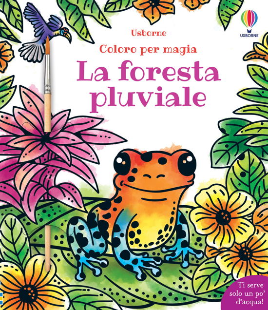 Cover for Sam Baer · Foresta Pluviale. Coloro Per Magia. Con Pennellino (Bok)