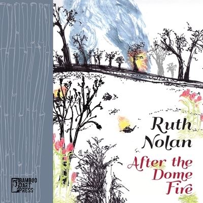 Cover for Ruth Nolan · After the Dome Fire (Buch) (2022)