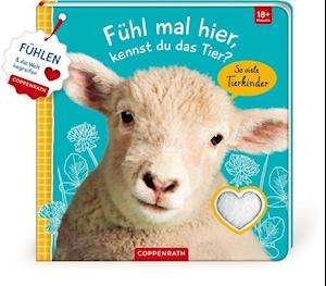 Cover for Coppenrath F · Fühl mal hier, kennst du das Tier? So viele Tierkinder (Board book) (2021)