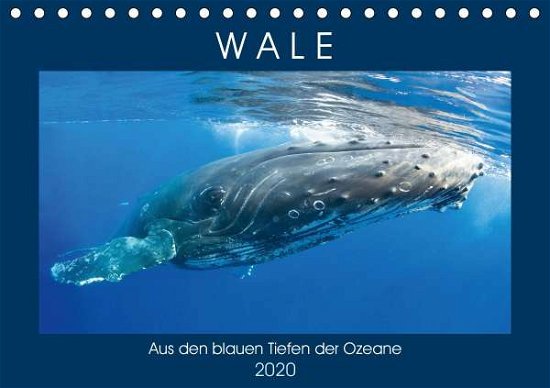 Cover for Wale · Aus den blauen Tiefen der Ozeane (Bog)