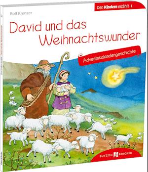 Cover for Susanne Schwandt · David und das Weihnachtswunder. Adventskalendergeschichte (Book) (2024)