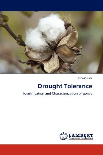 Cover for Uzma Qaisar · Drought Tolerance: Identification and Characterization of Genes (Paperback Bog) (2012)