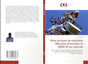 Cover for Ndiaye · Mise en place de solutions IMS a (Book)