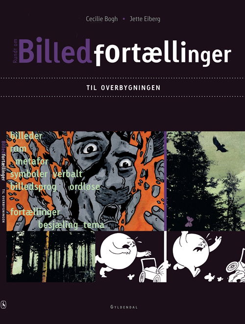 Cover for Jette Eiberg; Cecilie Bogh · Billedfortællinger i danskundervisningen: Billedfortællinger til overbygningen (Sewn Spine Book) [1.º edición] (2011)