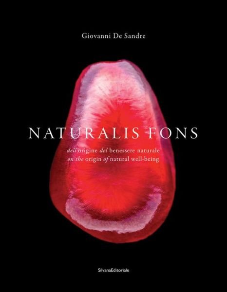 Cover for Giovanni De Sandre · Naturalis fons: The Source of Natural Well-Being (Inbunden Bok) (2019)