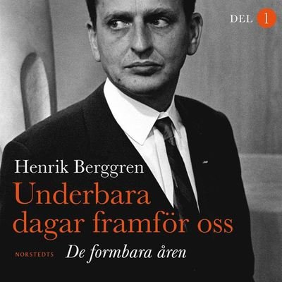 Cover for Henrik Berggren · Underbara dagar framför oss : De formbara åren (Hörbok (MP3)) (2021)