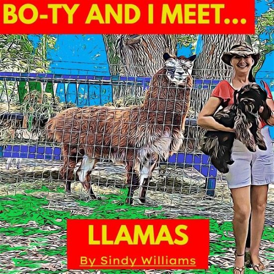 Cover for Sindy Williams · Bo-Ty and I Meet Llamas (Paperback Book) (2022)