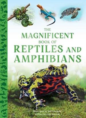 The Magnificent Book Of Reptiles And Amphibians - Tom Jackson - Books - - 9798886741636 - May 6, 2025