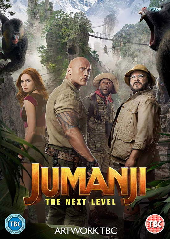 Cover for Jumanji: the Next Level · Jumanji - The Next Level (DVD) (2020)