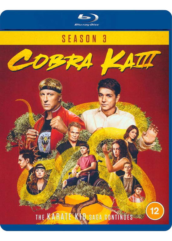 Cover for Cobra Kai  Season 03 · Cobra Kai - Seasons 03 (Blu-ray) (2022)