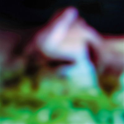 Cover for Hair &amp; Treasure · Disc Rot (LP) (2025)
