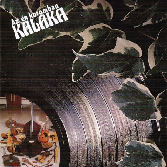 Cover for Kaláka · Az én koromban (CD) (2007)