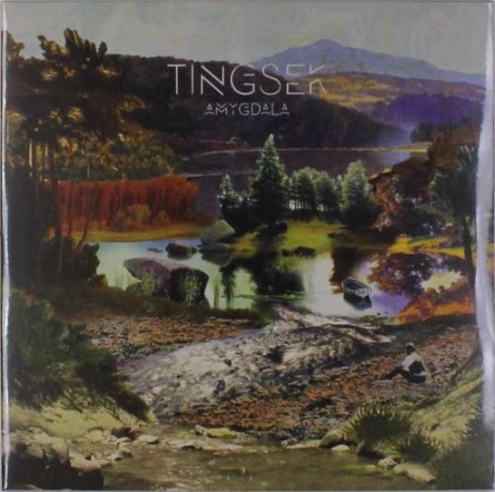 Amygdala - Tingsek - Musikk - SOUND POLLUTION - 7330169557637 - 3. november 2023