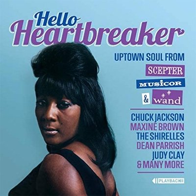 Cover for Hello Heartbreaker (CD) (2020)