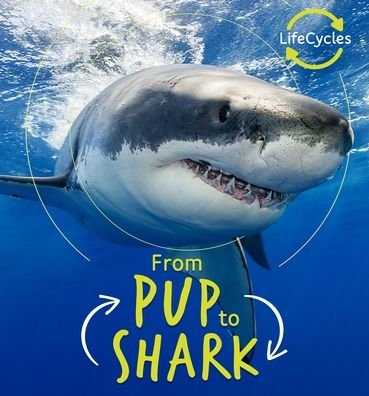 Cover for Camilla de la Bedoyere · From Pup to Shark (Book) (2020)