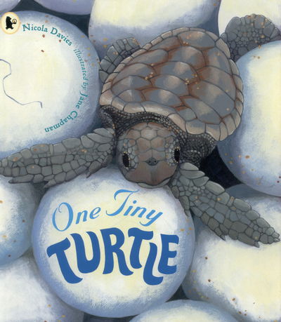 One Tiny Turtle - Nicola Davies - Książki - Walker Books Ltd - 9781406364637 - 30 lipca 2015