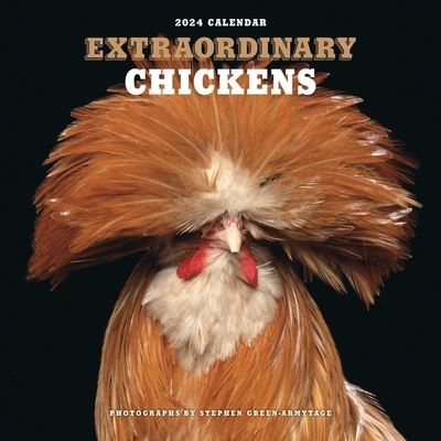 Cover for Stephen Green-Armytage · Extraordinary Chickens 2024 Wall Calendar (Calendar) (2023)