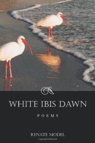 Cover for Renate Model · White Ibis Dawn (Pocketbok) (2011)