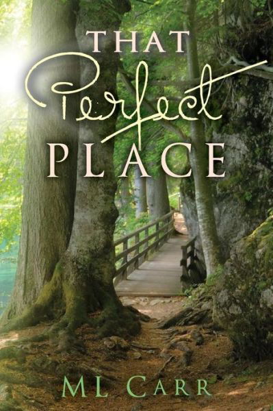 Cover for M L Carr · That Perfect Place (Taschenbuch) (2014)