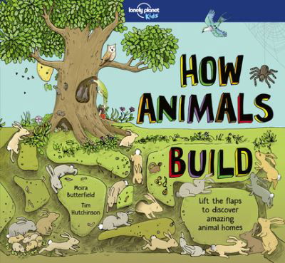 Cover for Moira Butterfield · How animals build (Bog) (2017)