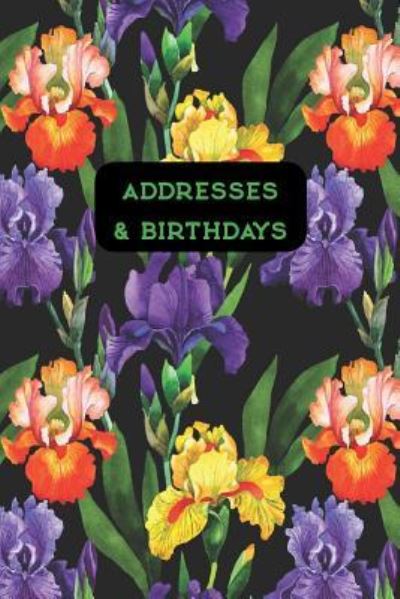 Cover for Andante Press · Addresses &amp; Birthdays (Paperback Book) (2019)