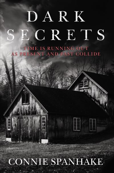 Cover for Connie Spanhake · Dark Secrets (Paperback Book) (2021)