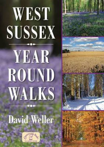 West Sussex Year Round Walks - Year Round Walks - David Weller - Books - Countryside Books - 9781846742637 - March 1, 2012