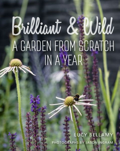 Cover for Lucy Bellamy · Brilliant and Wild: A Garden from Scratch in a Year (Hardcover Book) (2018)