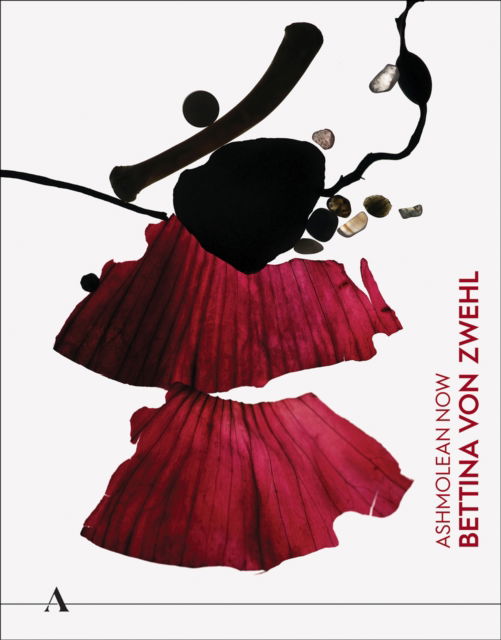 Cover for Lena Fritsch · Ashmolean NOW: Bettina von Zwehl - Ashmolean NOW (Paperback Book) (2024)