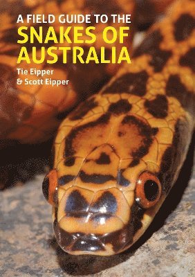 A Field Guide to the Snakes of Australia - Tie Eipper - Books - John Beaufoy Publishing Ltd - 9781913679637 - October 31, 2024