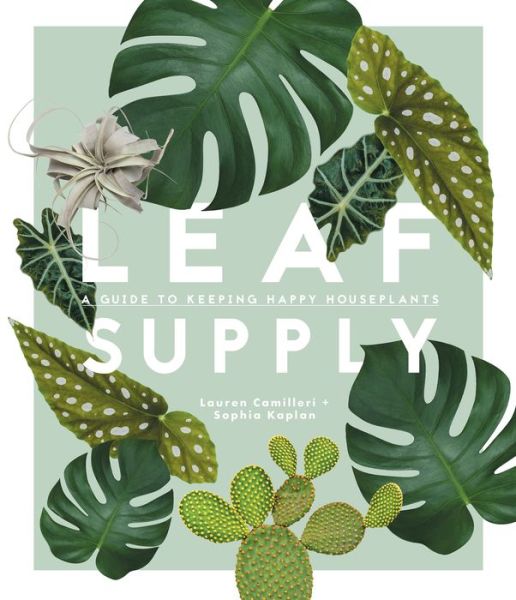 Cover for Lauren Camilleri · Leaf Supply: A guide to keeping happy house plants (Hardcover Book) (2018)