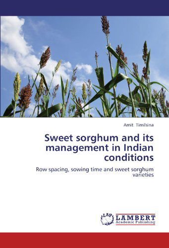 Cover for Amit Timilsina · Sweet Sorghum and Its Management in Indian Conditions: Row Spacing, Sowing Time and Sweet Sorghum Varieties (Paperback Book) (2012)